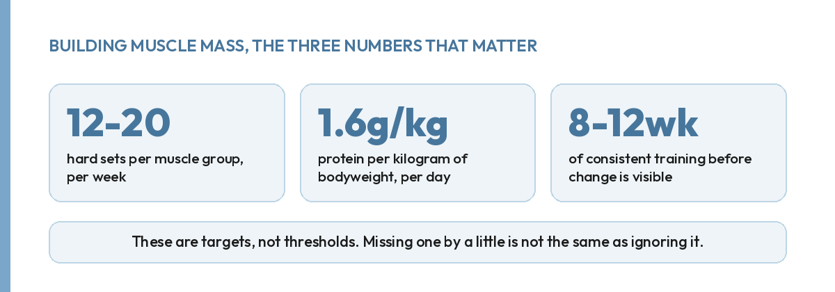 The three numbers behind building muscle mass: sets per week, protein per kilogram, weeks to see change
