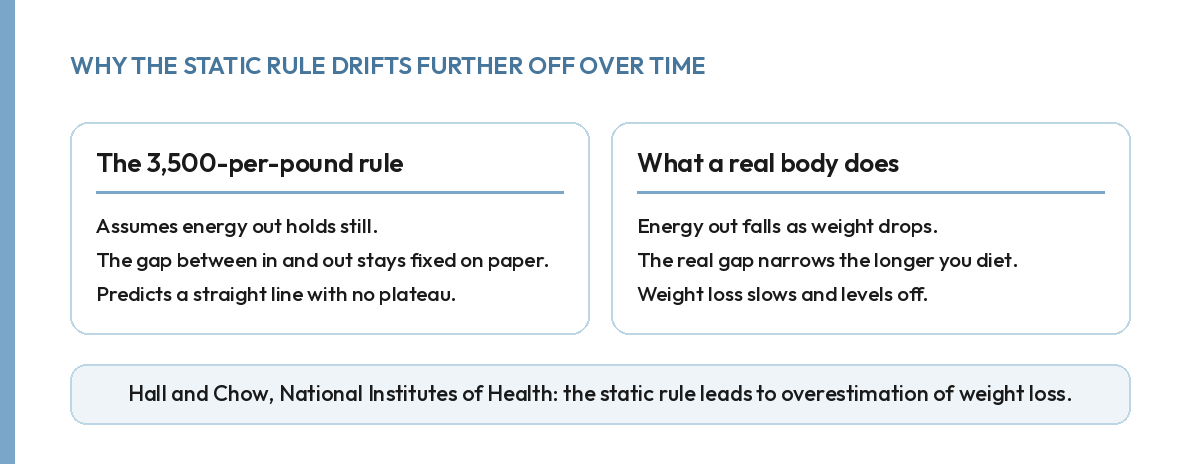 Comparing the static 3,500-calorie rule to a dynamic model: the static rule overestimates weight change over time