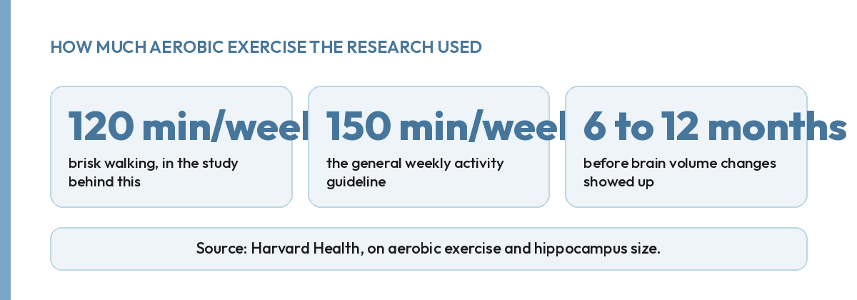Three figures: 120 minutes a week of walking in the study, the 150 minute guideline, and 6 to 12 months for brain changes