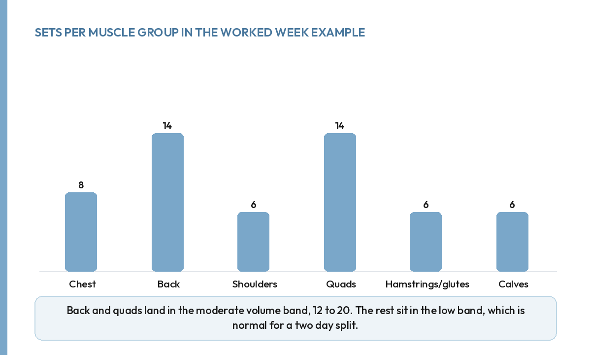Bar chart of weekly sets per muscle group: chest 8, back 14, shoulders 6, quads 14, hamstrings/glutes 6, calves 6