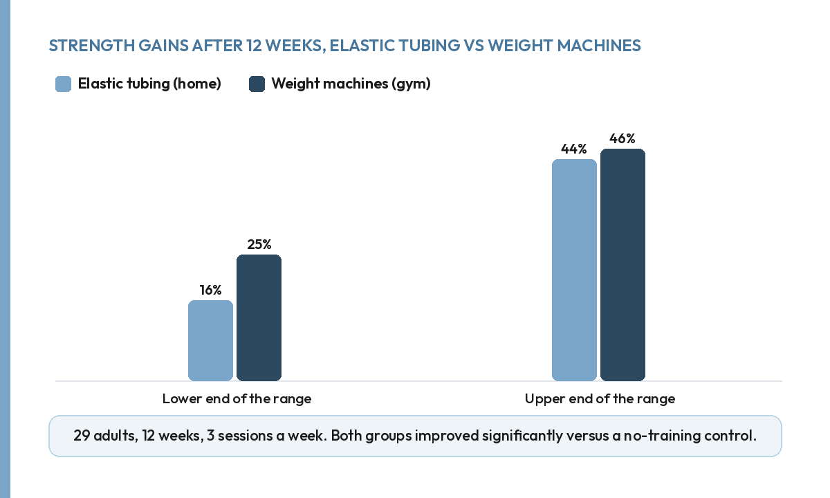 Bar chart: elastic tubing gained 16 to 44 percent strength, weight machines gained 25 to 46 percent, over 12 weeks