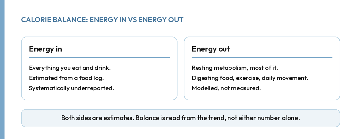 Energy in vs energy out: food and drink in, resting metabolism, digestion, exercise and movement out